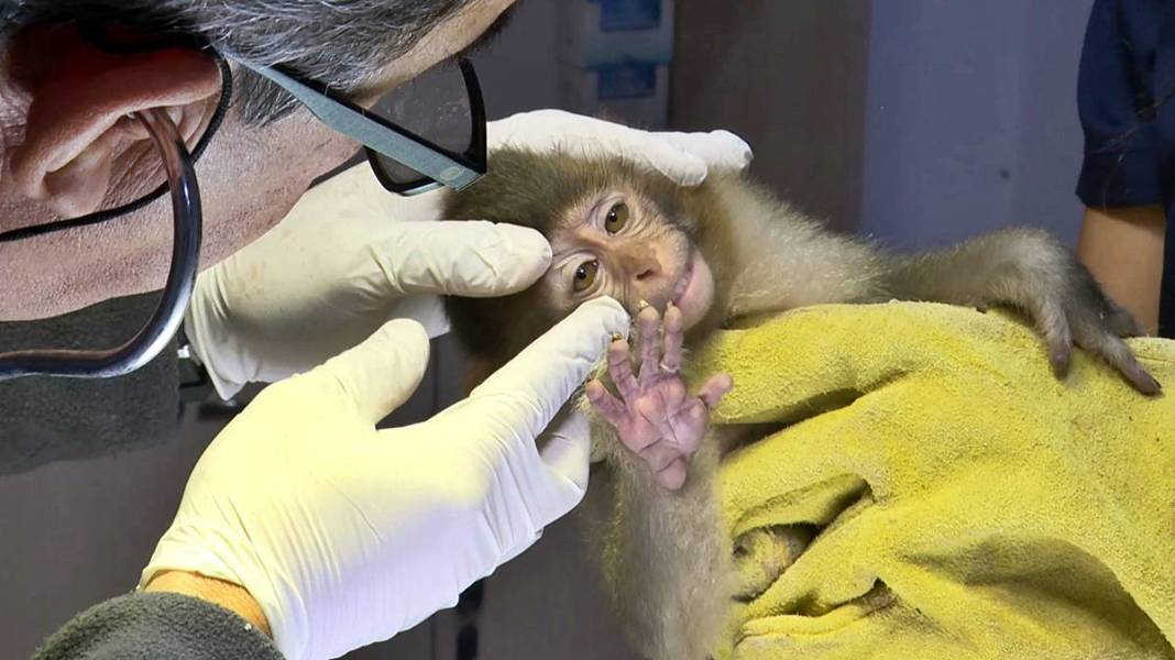 Otobüsle gönderilen koliyi kimse almayınca şoke eden gerçek ortaya çıktı! Hiç kimse bu kadar absürtlüğü tahmin edemezdi 10